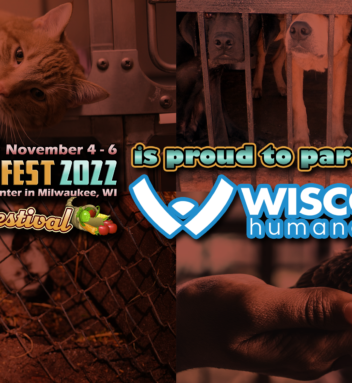 The Wisconsin Humane Society is Back As Our Charity Partner for PVCF22!