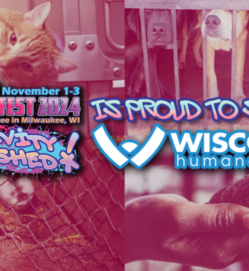 Wisconsin Humane Society is our charity, and you can help support them with our new Speed Puzzle Competition!